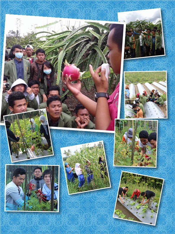 Program Studi Agribisnis